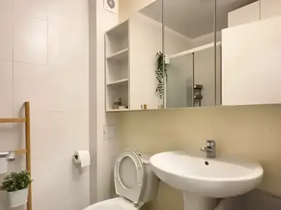 Garsoniera de inchiriere Sector 3 Bucuresti baie cu oglinda